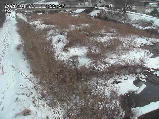東郷川１2026/01/24 2:20:00
