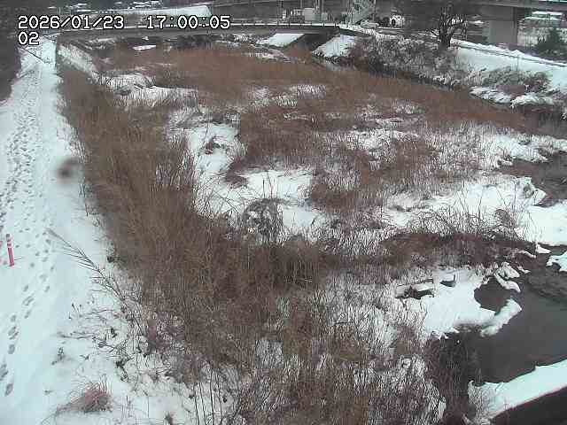 東郷川１2026/01/24 2:20:00