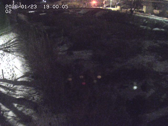 東郷川１2026/01/24 2:20:00