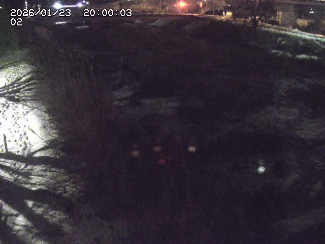 東郷川１2026/01/24 2:20:00