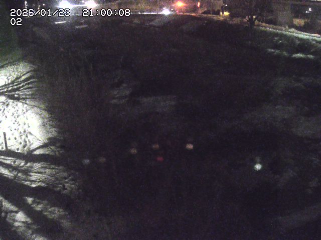 東郷川１2026/01/24 2:20:00