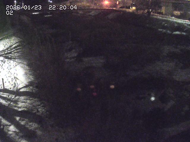 東郷川１2026/01/24 2:20:00