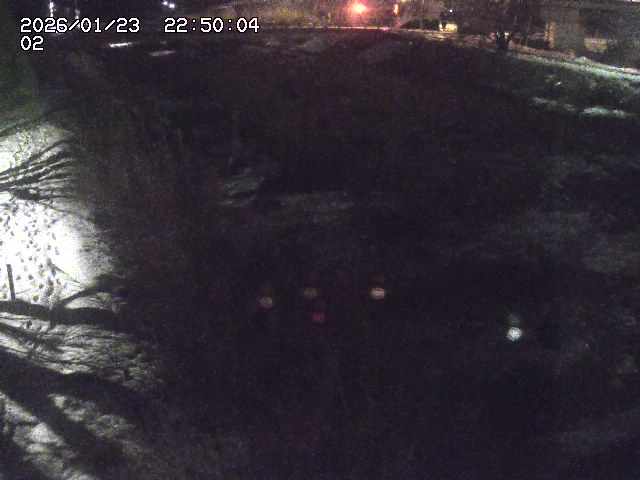 東郷川１2026/01/24 2:20:00