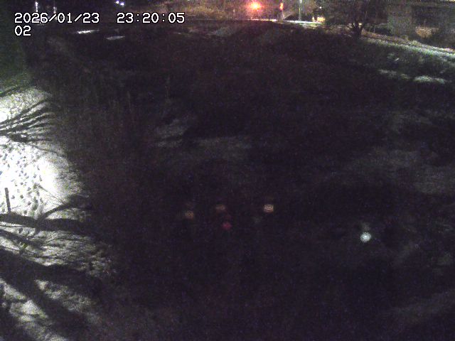 東郷川１2026/01/24 2:20:00