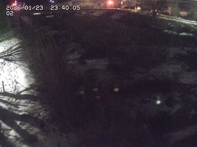 東郷川１2026/01/24 2:20:00