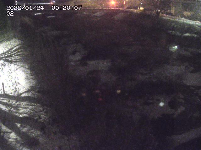 東郷川１2026/01/24 2:20:00