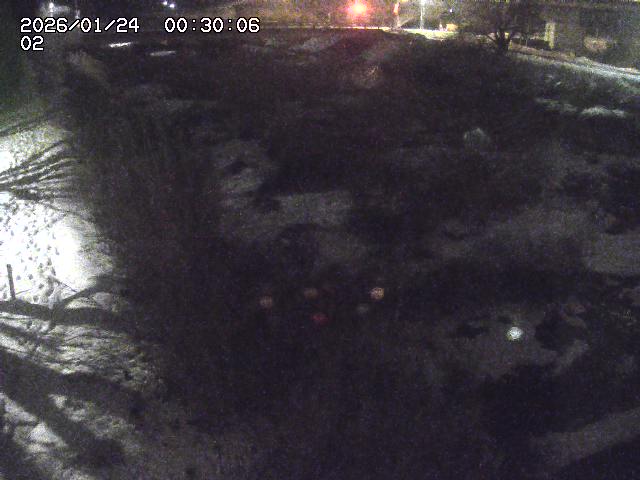 東郷川１2026/01/24 2:20:00