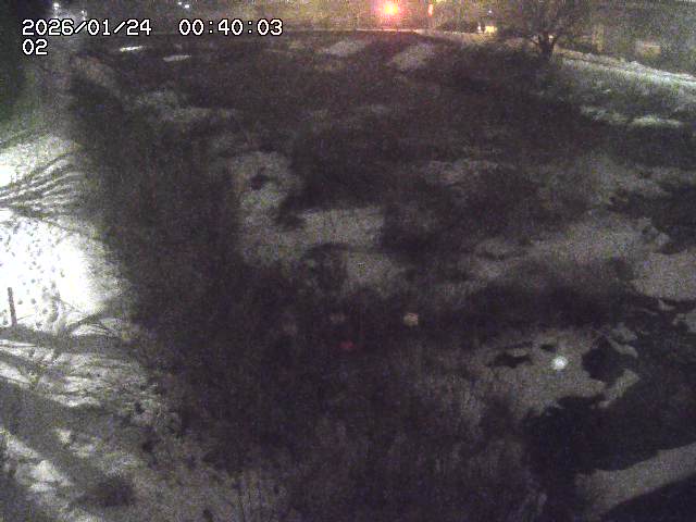 東郷川１2026/01/24 2:20:00