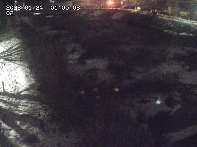 東郷川１2026/01/24 2:20:00