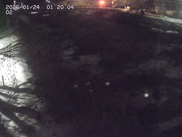 東郷川１2026/01/24 2:20:00