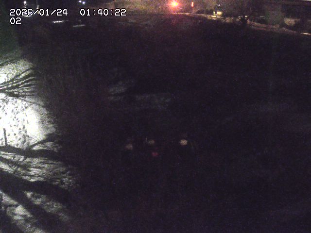 東郷川１2026/01/24 2:20:00