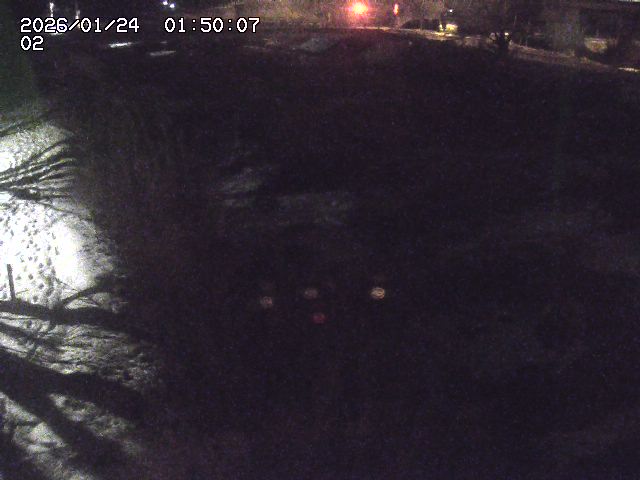 東郷川１2026/01/24 2:20:00