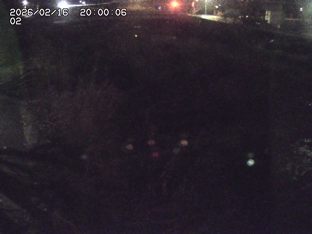 東郷川１2026/02/17 18:30:00