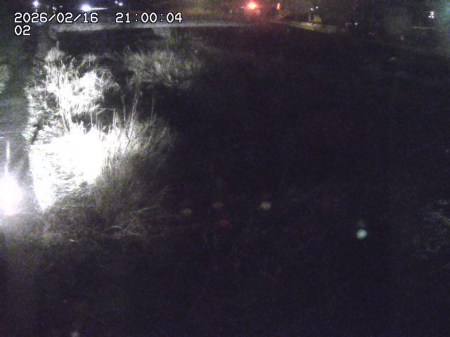 東郷川１2026/02/17 18:30:00