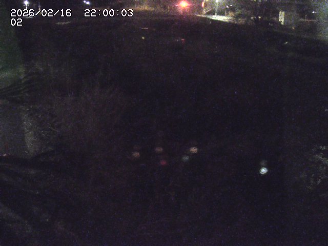 東郷川１2026/02/17 18:30:00