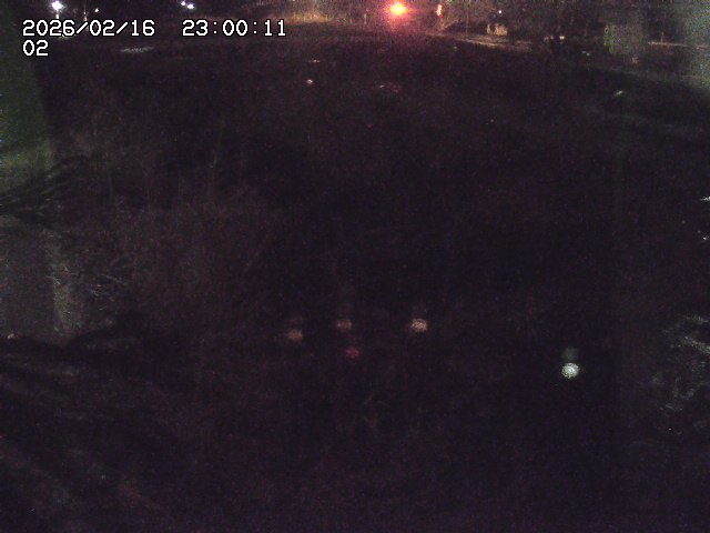 東郷川１2026/02/17 18:30:00