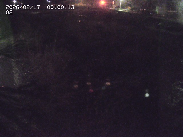 東郷川１2026/02/17 18:30:00