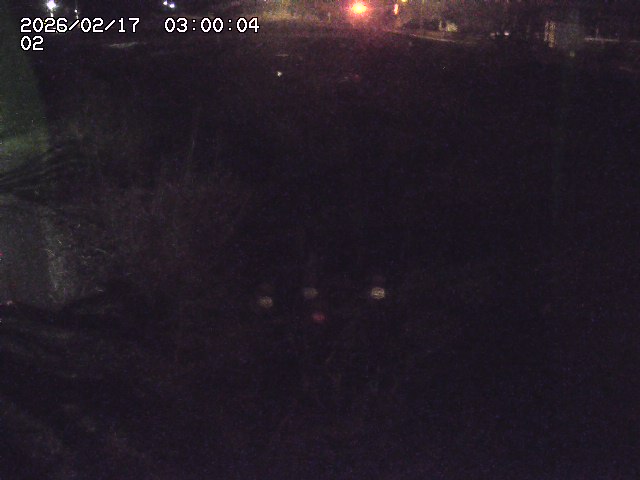 東郷川１2026/02/17 18:30:00