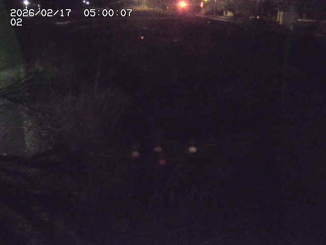 東郷川１2026/02/17 18:30:00