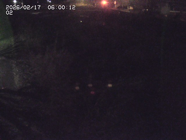 東郷川１2026/02/17 18:30:00