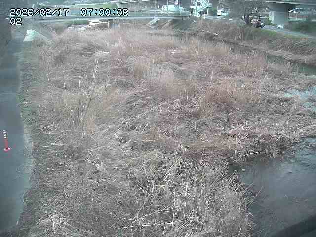 東郷川１2026/02/17 18:30:00