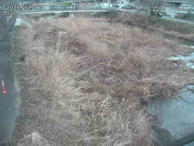 東郷川１2026/02/17 18:30:00