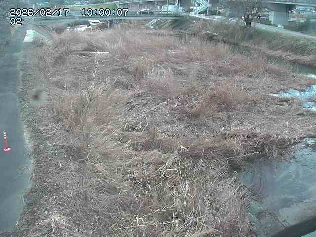 東郷川１2026/02/17 18:30:00