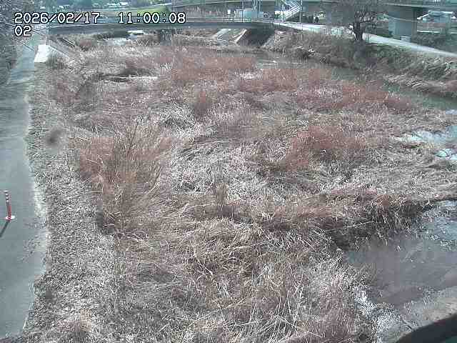 東郷川１2026/02/17 18:30:00