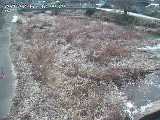 東郷川１2026/02/17 18:30:00