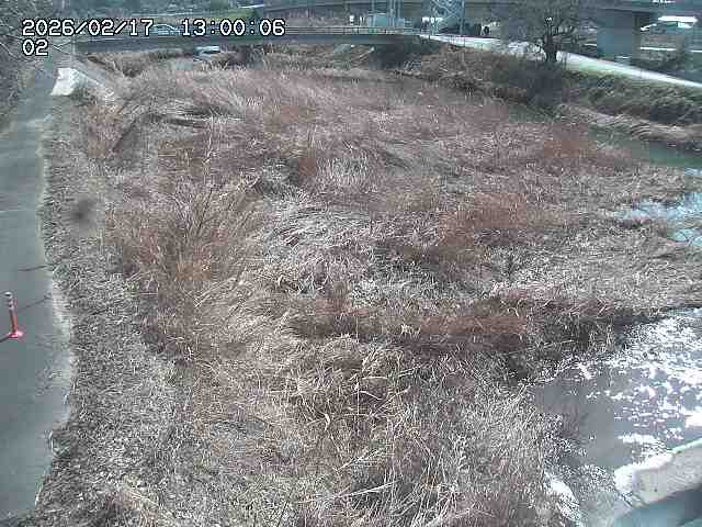 東郷川１2026/02/17 18:30:00