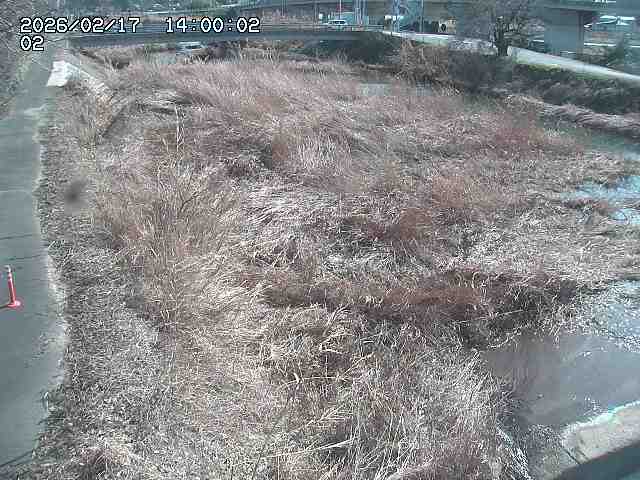 東郷川１2026/02/17 18:30:00
