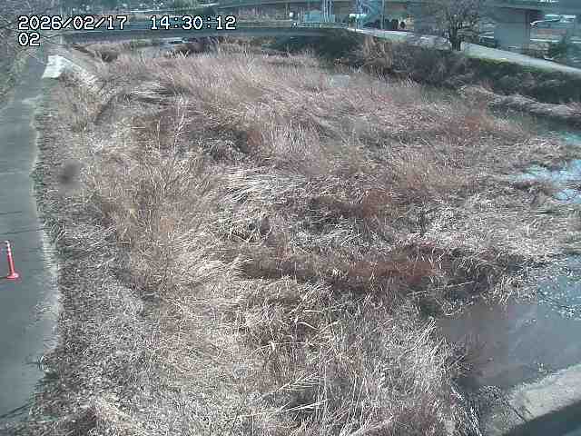 東郷川１2026/02/17 18:30:00