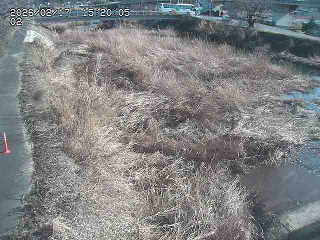 東郷川１2026/02/17 18:30:00