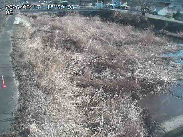 東郷川１2026/02/17 18:30:00