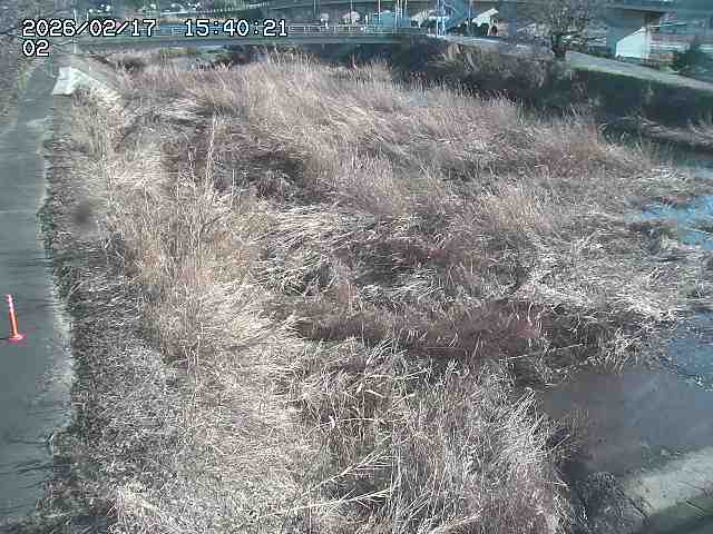 東郷川１2026/02/17 18:30:00