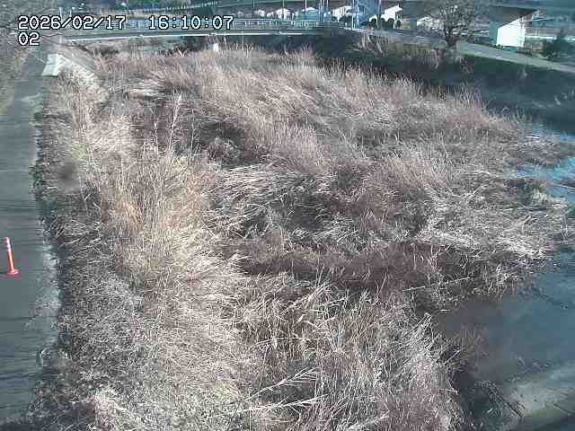 東郷川１2026/02/17 18:30:00