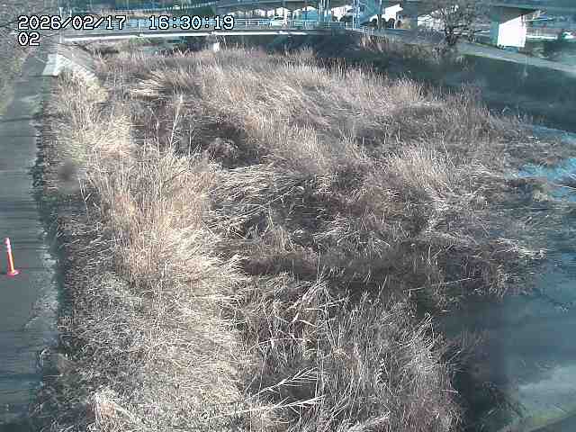 東郷川１2026/02/17 18:30:00
