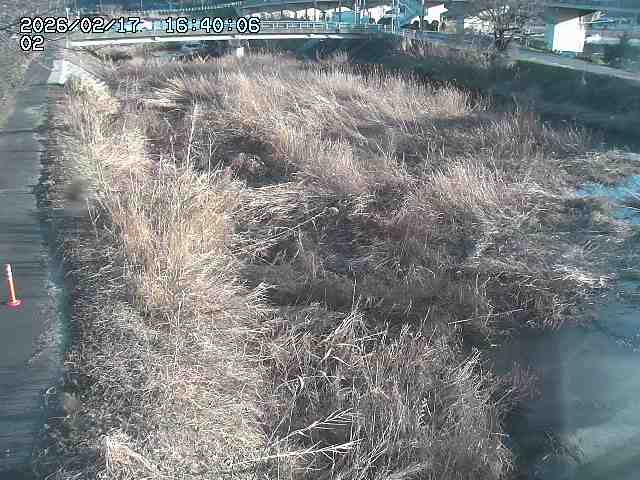 東郷川１2026/02/17 18:30:00