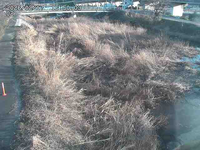 東郷川１2026/02/17 18:30:00