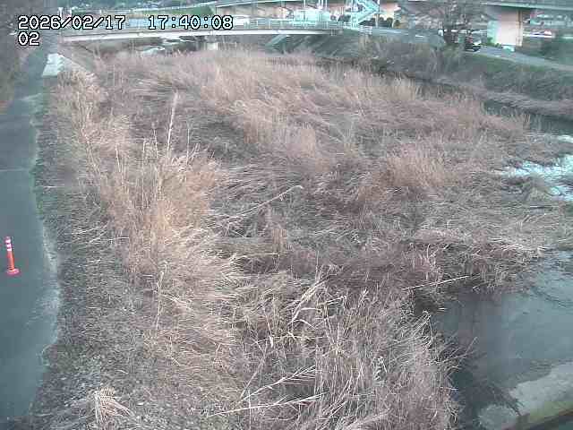 東郷川１2026/02/17 18:30:00