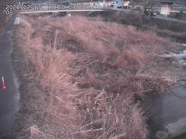 東郷川１2026/02/17 18:30:00
