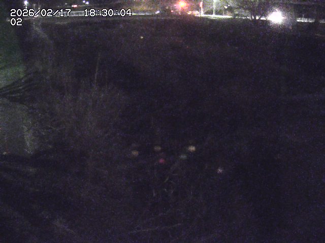 東郷川１2026/02/17 20:10:00