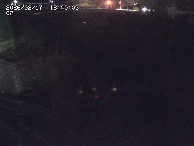 東郷川１2026/02/17 20:10:00