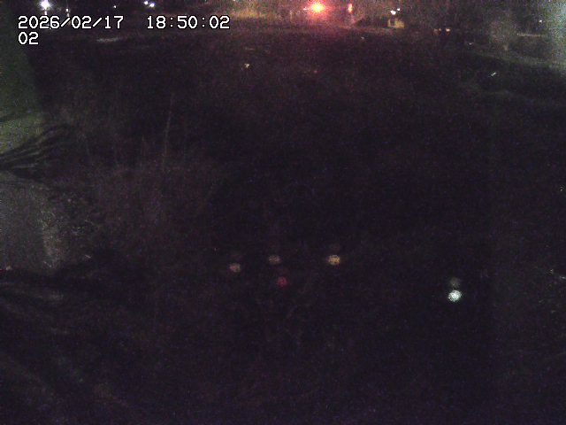 東郷川１2026/02/17 20:10:00
