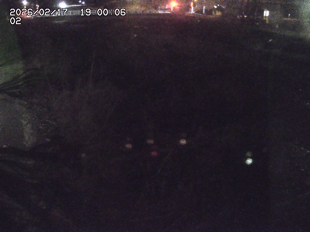 東郷川１2026/02/17 20:10:00