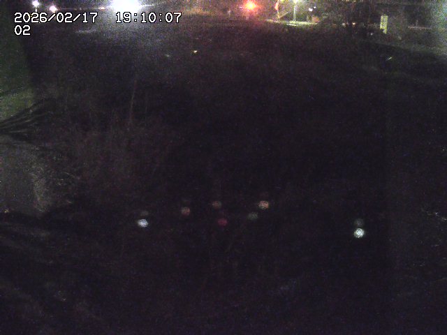 東郷川１2026/02/17 20:10:00