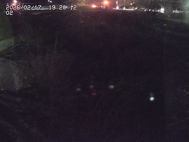 東郷川１2026/02/17 20:10:00