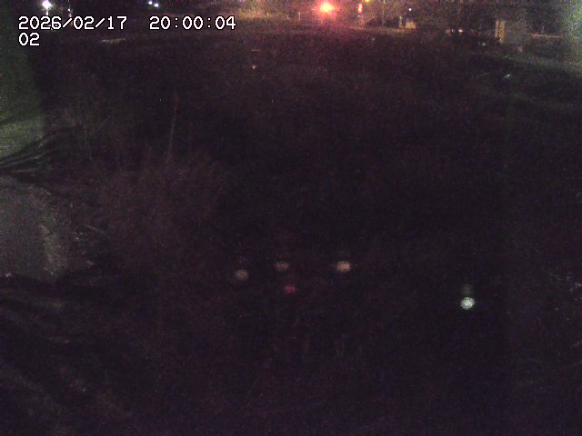東郷川１2026/02/17 20:10:00