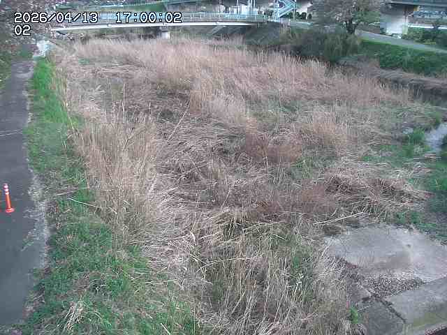 東郷川１2026/04/14 17:10:00