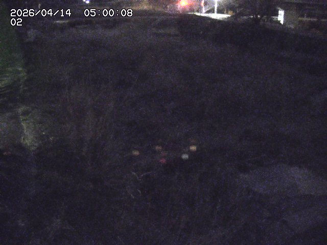 東郷川１2026/04/14 17:10:00